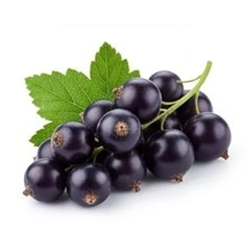 Blackcurrant