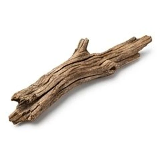 Driftwood