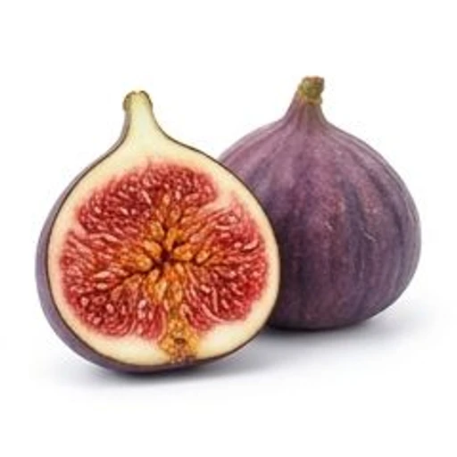 Fig