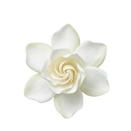 Gardenia