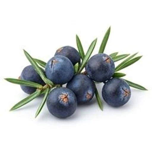 Juniper