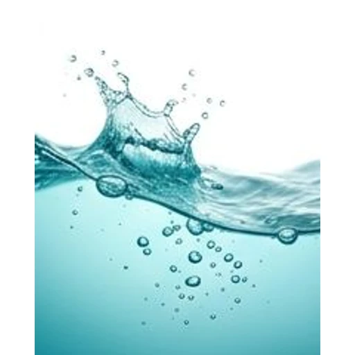 Marine Accords