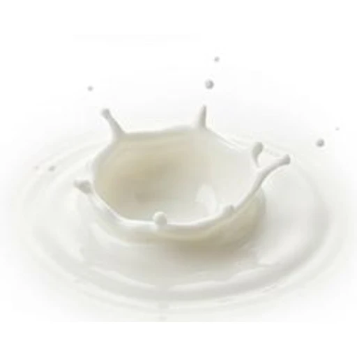 Milk