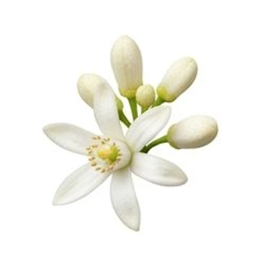Neroli