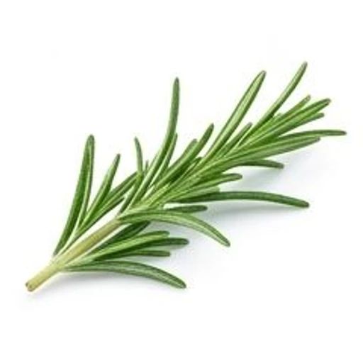 Rosemary