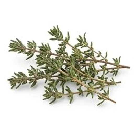 Thyme