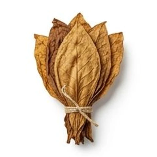 Tobacco Leaf