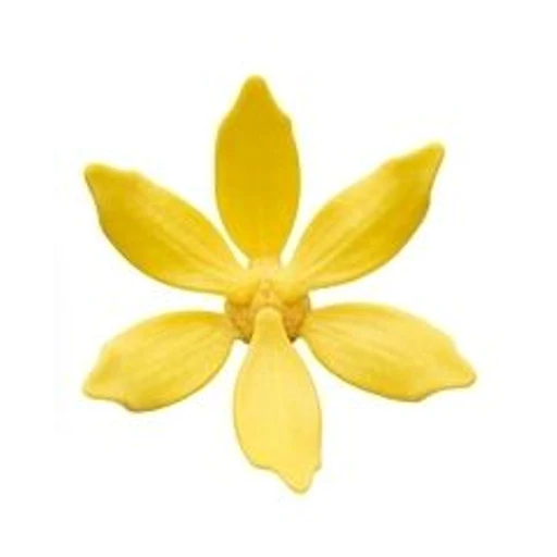 Ylang-Ylang